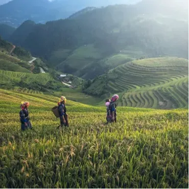 View products and services in Agriculture, Land Reform and Rural Development Picture for constellation Agriculture, Land Reform and Rural Development